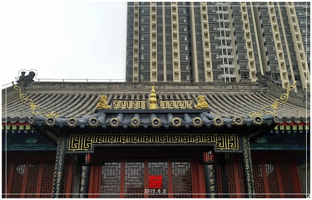 查看更多精彩图片