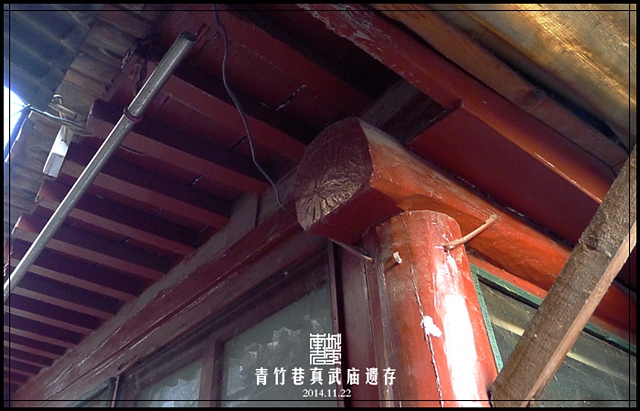 查看更多精彩图片
