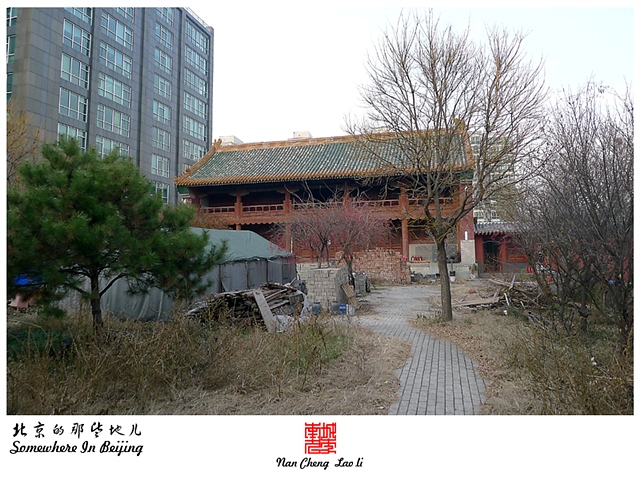 查看更多精彩图片