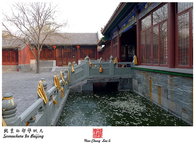 查看更多精彩图片