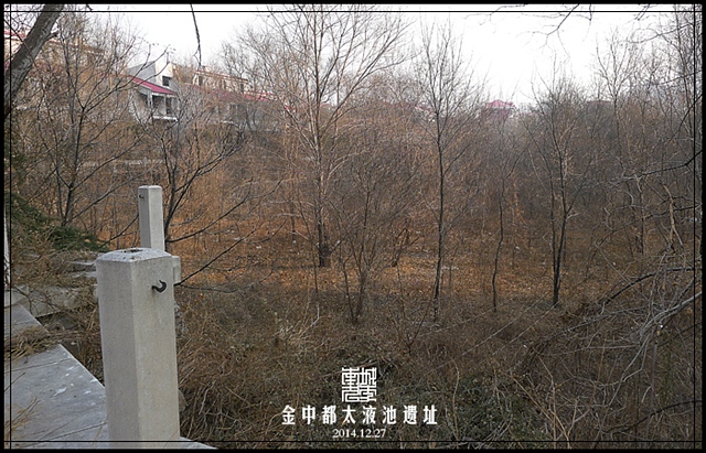 查看更多精彩图片