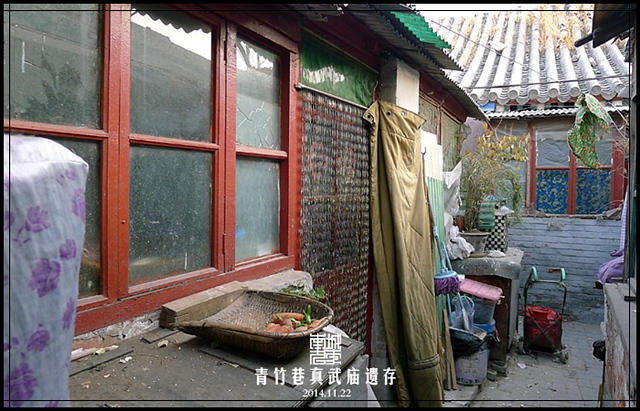 查看更多精彩图片