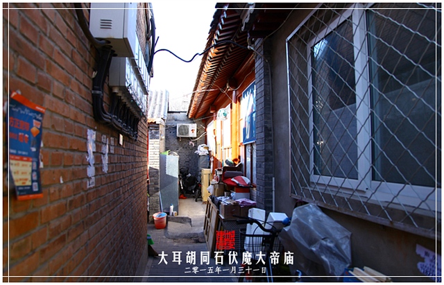 查看更多精彩图片