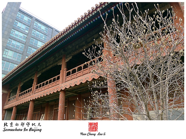 查看更多精彩图片