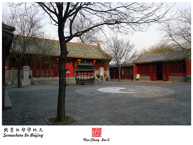 查看更多精彩图片