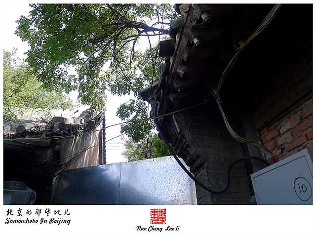 查看更多精彩图片