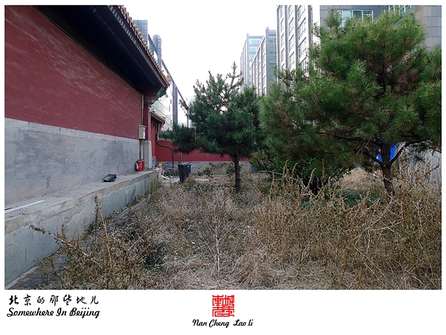 查看更多精彩图片