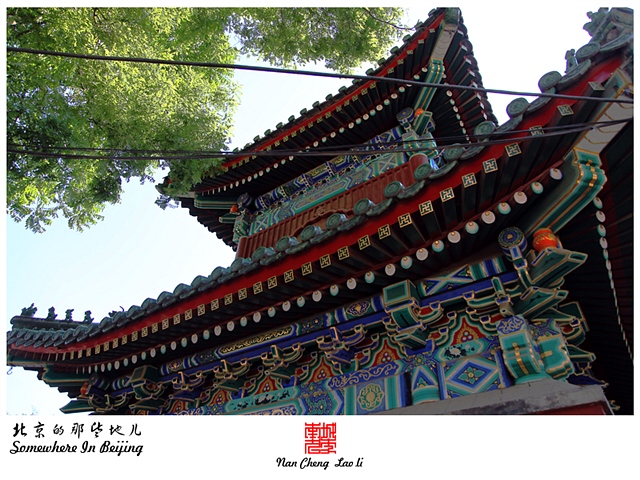 查看更多精彩图片