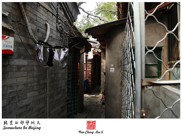 查看更多精彩图片