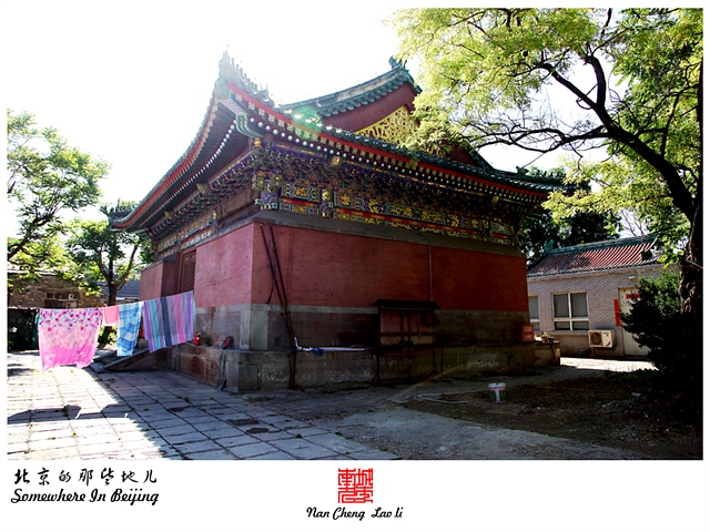 查看更多精彩图片