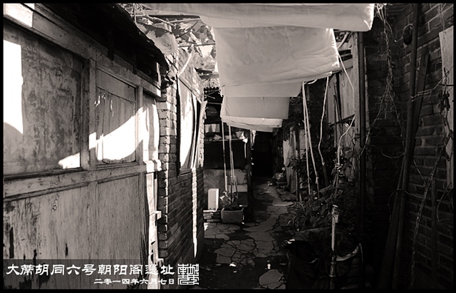 查看更多精彩图片