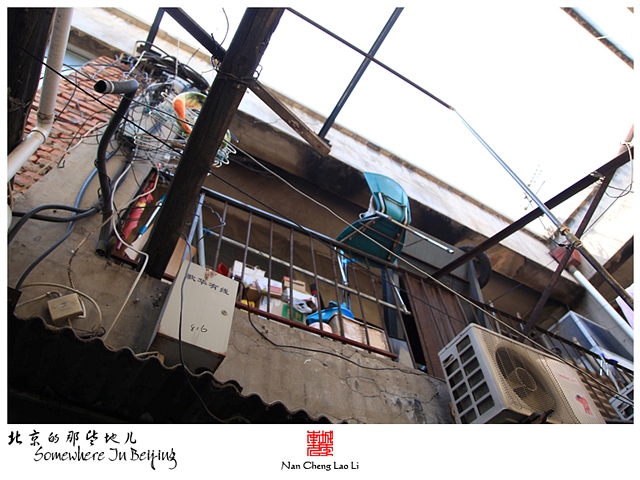 查看更多精彩图片