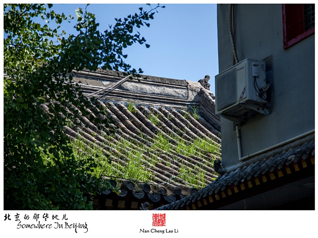 查看更多精彩图片