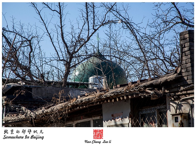 查看更多精彩图片