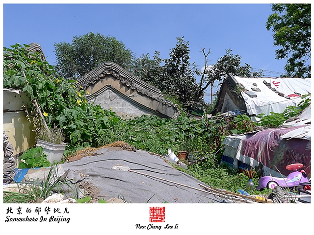 查看更多精彩图片