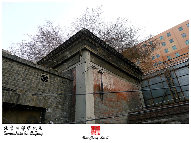 查看更多精彩图片