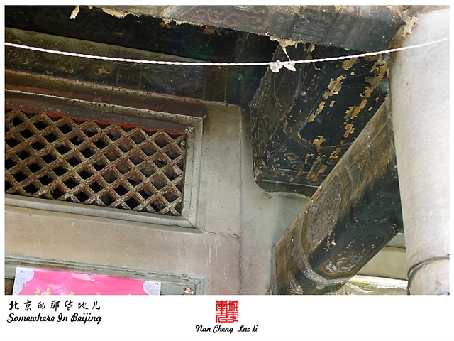 查看更多精彩图片