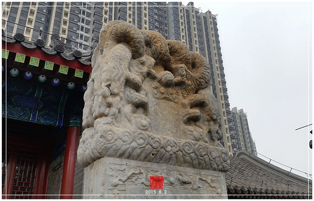 查看更多精彩图片