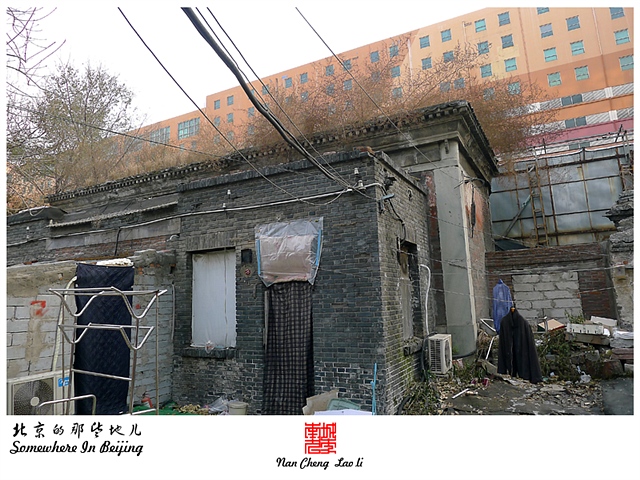 查看更多精彩图片