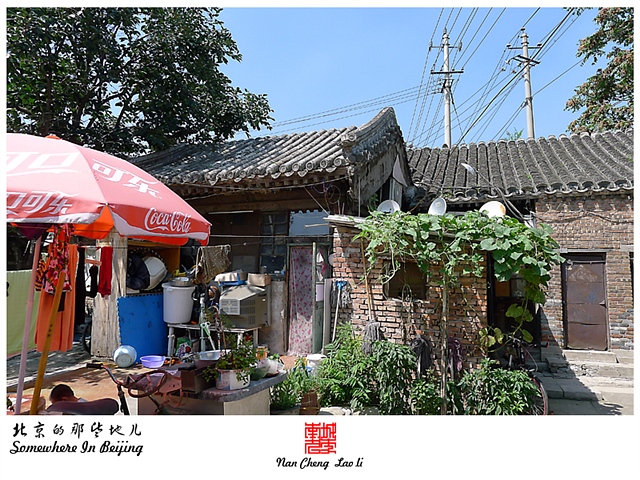 查看更多精彩图片