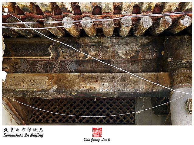 查看更多精彩图片