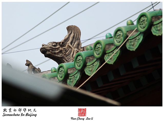 查看更多精彩图片