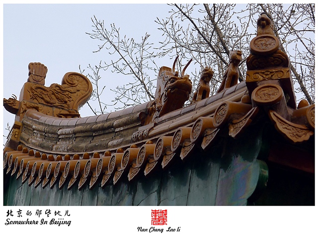 查看更多精彩图片