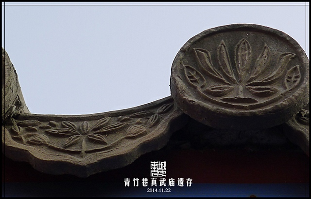 查看更多精彩图片