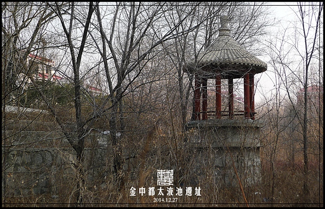 查看更多精彩图片