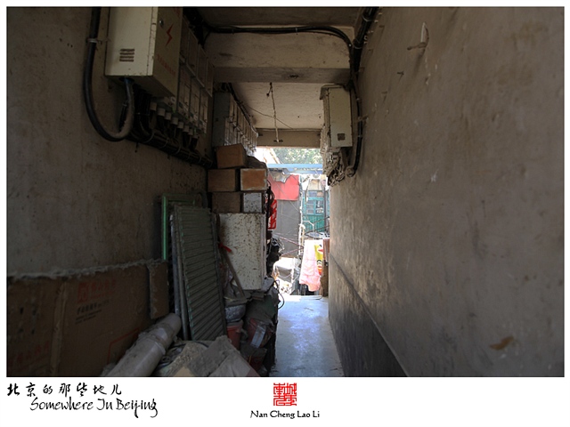 查看更多精彩图片