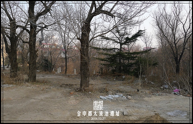 查看更多精彩图片