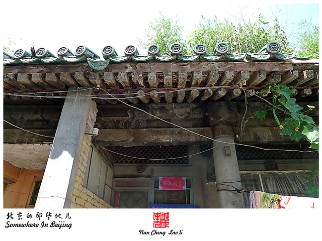 查看更多精彩图片