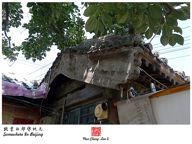 查看更多精彩图片