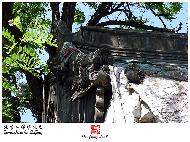 查看更多精彩图片