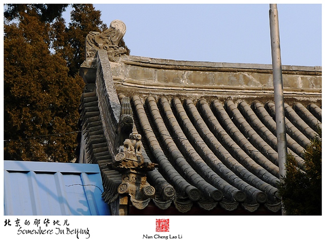 查看更多精彩图片