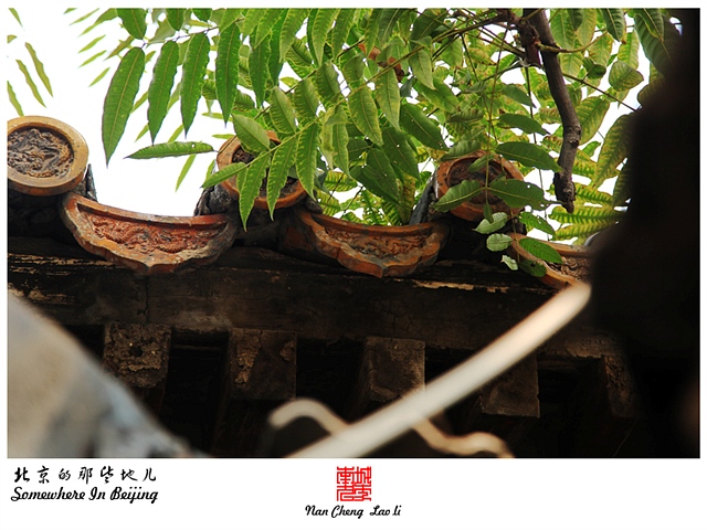 查看更多精彩图片