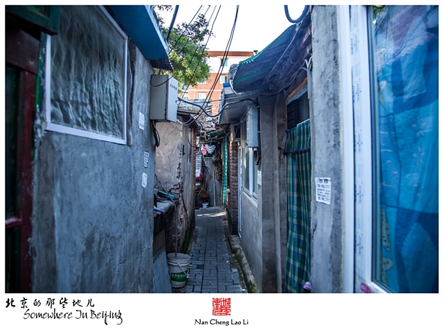 查看更多精彩图片