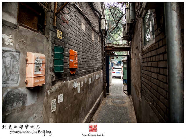 查看更多精彩图片