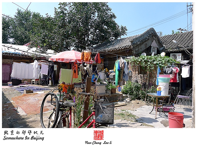 查看更多精彩图片
