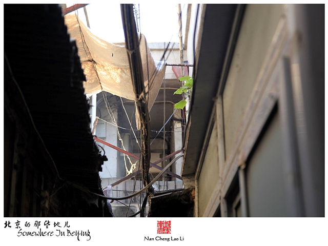 查看更多精彩图片