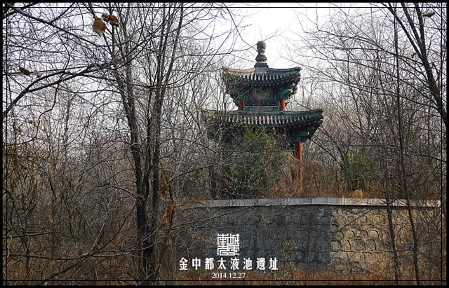 查看更多精彩图片