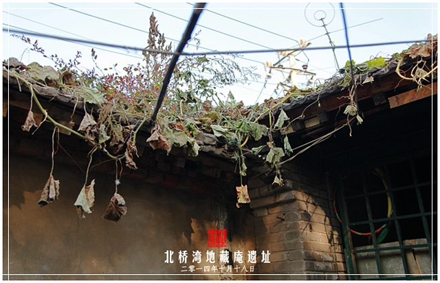 查看更多精彩图片
