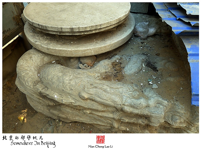 查看更多精彩图片