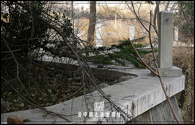 查看更多精彩图片
