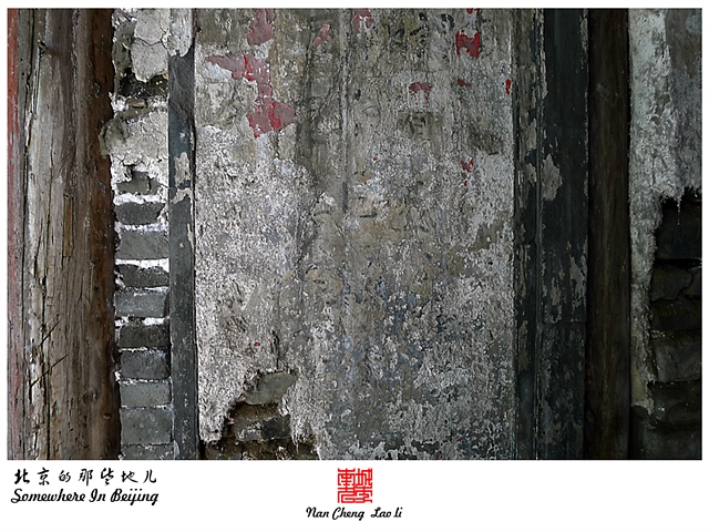 查看更多精彩图片