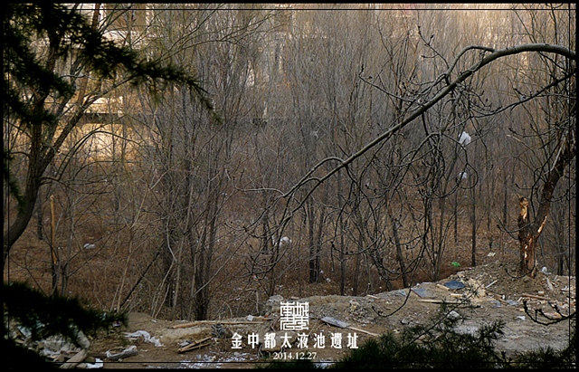 查看更多精彩图片