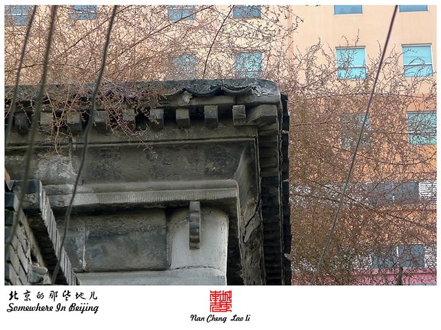 查看更多精彩图片