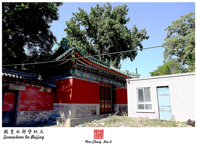 查看更多精彩图片