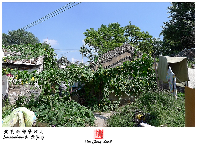 查看更多精彩图片