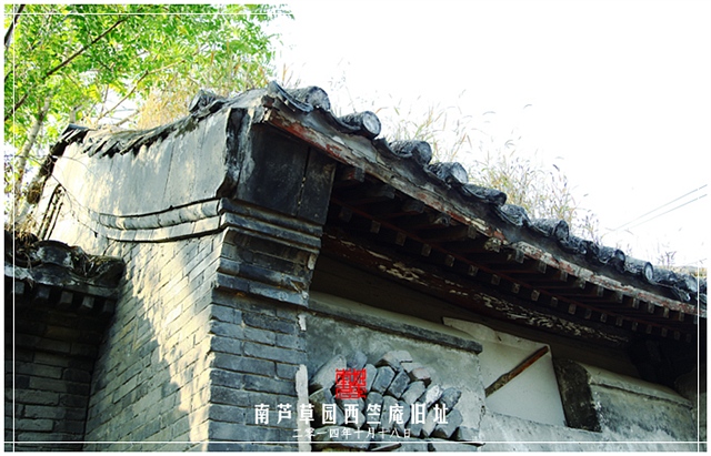 查看更多精彩图片